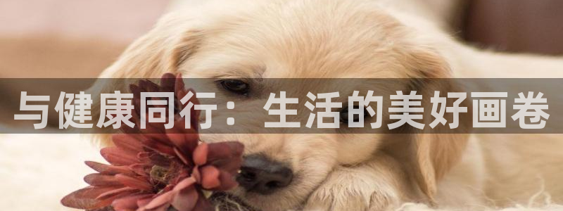 韩漫官网lezhin：与健康同行：生活的美好画卷