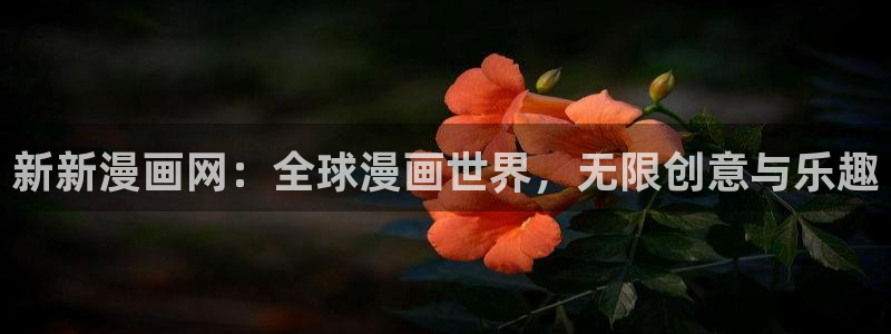 韩漫漫画免费看全集：新新漫画网：全球漫画世界，无限创意与乐趣
