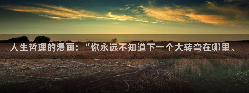 韩漫生肉网址：人生哲理的漫画: “你永远不知道下一个大转弯在哪里。