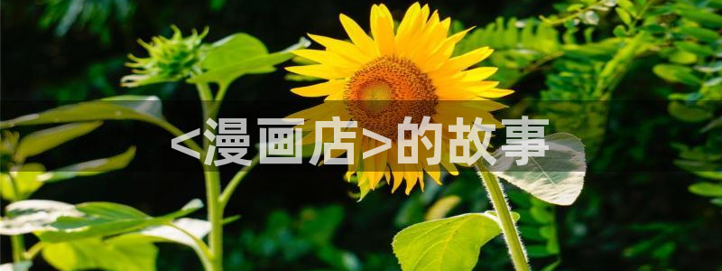 3d韩漫在线观看：<漫画店>的故事