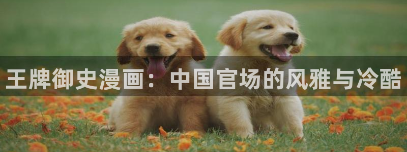 stagenehind韩漫免费观看：王牌御史漫画：中国官场的风雅与冷酷