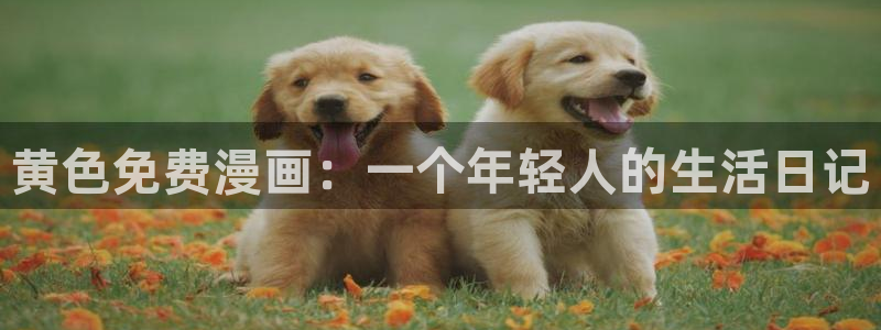 羞羞韩漫在线看：黄色免费漫画：一个年轻人的生活日记