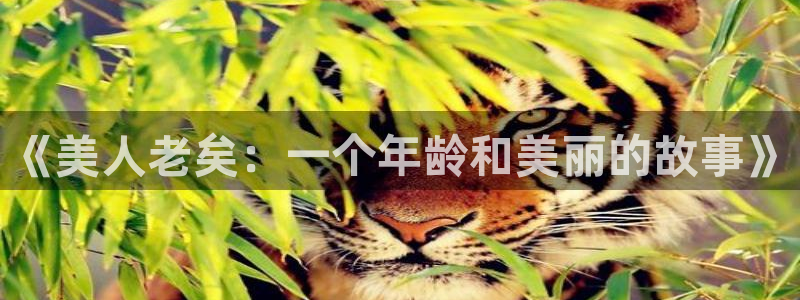 湿乐园韩漫在线观看：《美人老矣：一个年龄和美丽的故事》