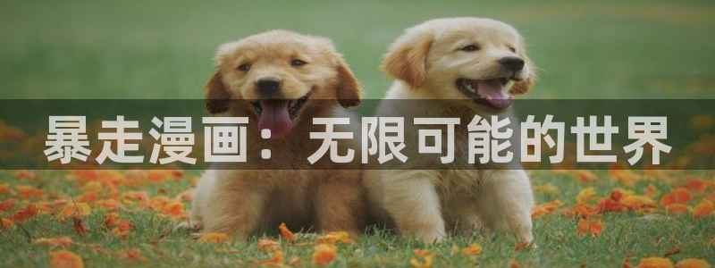 美丽新世界韩漫画看