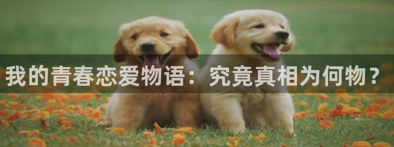 来我床上的男人们漫画韩漫免费观看