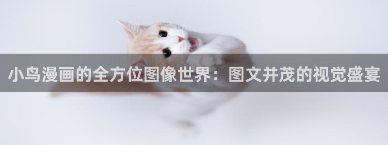 韩漫网站最新