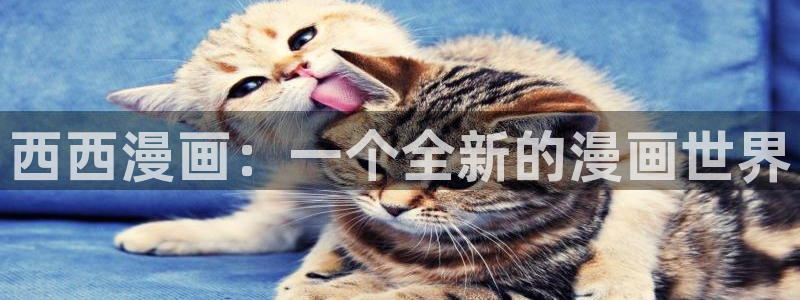 原耽韩漫网站