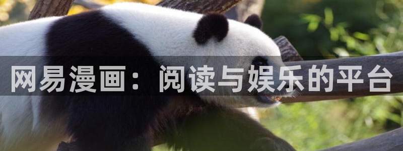 韩漫之家免费漫画入口下拉